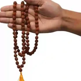 Pure Rudraksha Yoga Mala