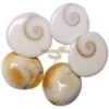 Original/Natural Gomati/Gomti Chakra White-11Piece