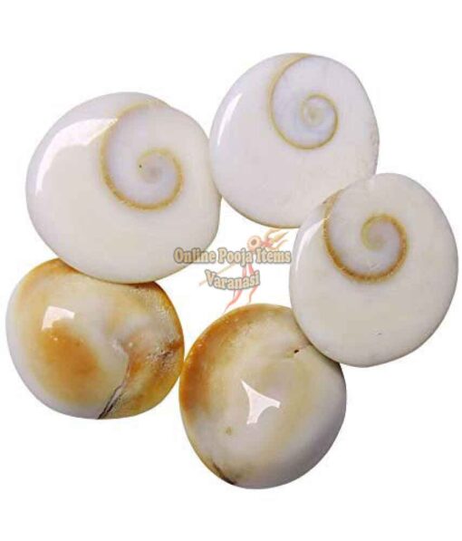 Original/Natural Gomati/Gomti Chakra White-11Piece