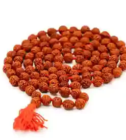 Rudraksha Mala Pure and Certified