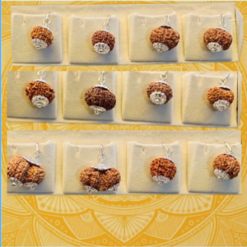 RUDRAKSHA
